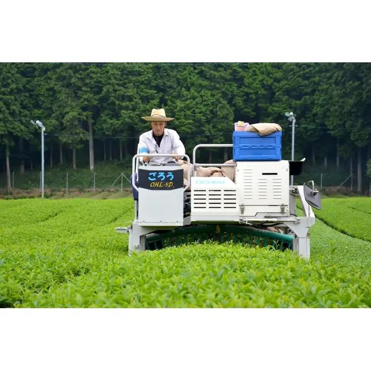 滋賀県産抹茶使用 泡立つ抹茶ラテ1kg【約66杯分】 (177362-40040106)