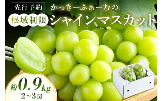【先行予約】根域制限シャインマスカット 約0.9kg 2～3房《9月中旬頃から発送》 果物 シャインマスカット 先行予約 【183_1873】