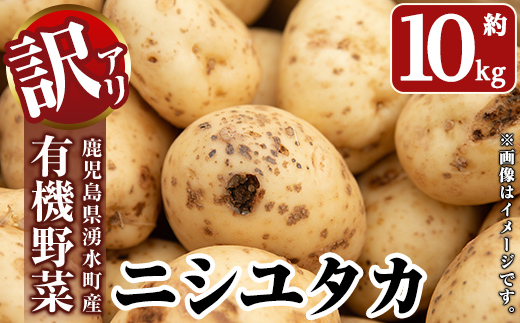 y563 ≪訳あり≫湧水町産有機じゃがいも ニシユタカ 約10kg 国産 九州産 鹿児島産 有機野菜 有機栽培 じゃがいも ジャガイモ にしゆたか 野菜 やさい おかず 旬 わけあり 訳アリ 規格外 