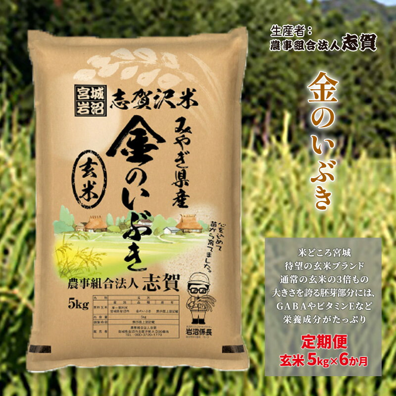 【ふるさと納税】玄米 定期便 6ヶ月 金のいぶき 5kg 志賀沢米 岩沼産 お米 ブランド米 5キロ こめ ご飯 ライス 玄米ごはん 玄米ご飯 きんのいぶき 金のいぶき玄米 東北 宮城県産 米定期便 6回 半年 お楽しみ 宮城米 宮城県 岩沼市　お届け：2025年10月中旬～2026年3月下旬