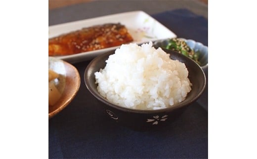 
4銘柄食べ比べセット!福島県中通り産 白米4kg(1kg×4種)【1046463】
