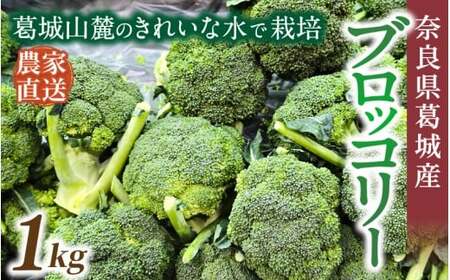 奈良県葛城産 ブロッコリー 約1kg 【2025年11月上旬～5月下旬順次発送】葛城市【smlk067】