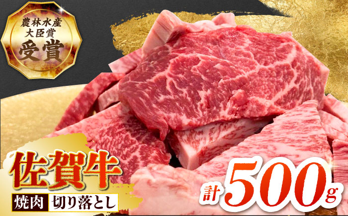 【2度の農林水産大臣賞】佐賀牛 焼肉用（カルビ・赤身）500g 【田中畜産牛肉店】佐賀牛 牛肉 切り落とし [HBH143]