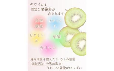 ＜11月より発送＞厳選 キウイ5kg+250g（傷み補償分）【扁平果】 / 和歌山 フルーツ 果物 くだもの 旬 キウイフルーツ キウイ 栄養たっぷり【ikd711A】