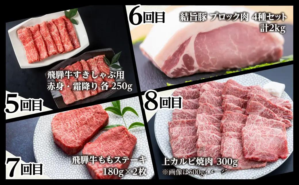 白川郷 まるごと 定期便 全12回 お届け 飛騨牛&結旨豚 定期便 [S361]