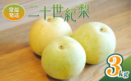 【2026年 先行予約】二十世紀梨 3kg※常温発送｜鳥取 井上農園 梨 なし ナシ 青梨 果物 フルーツ 3L【41086】