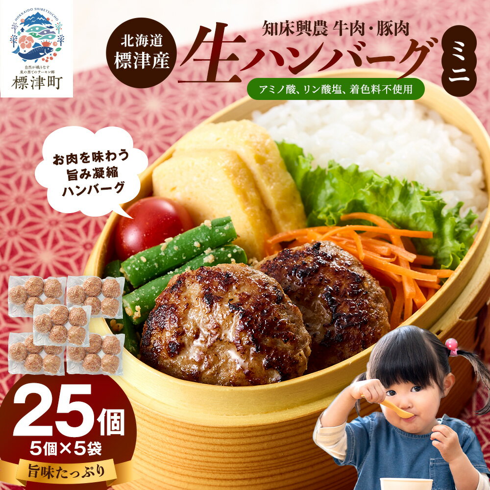 【ふるさと納税】生ハンバーグミニ 25個セット(5個×5パック)冷凍でお届け 国産 牛肉 豚肉 ギフトにもおすすめ【配送不可地域：離島】