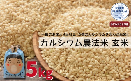 カルシウム農法米 玄米5kg 茨城県共通返礼品・かすみがうら市産 米 お米 白米 こめ 精米 取り寄せ 特産 ごはん ご飯 コメ お取り寄せ ギフト 贈り物 お弁当 弁当 おにぎり ふっくら ツヤツヤ 甘い 農家直送 産地直送 国産 茨城県産