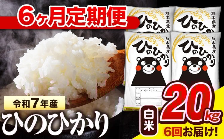 
                  令和7年産 白米 【6ヶ月定期便】 ひのひかり 20kg《お申込み翌月から出荷》 熊本県産 白米 精米 氷川町 ひの 送料無料 ヒノヒカリ コメ 便利 ブランド米 お米 おこめ 熊本 
                