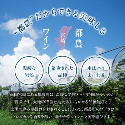 ふるさと納税 都農町 【数量限定】アンベラシー飲み比べ3本セット(レッド・ロゼ・ホワイト) 酒 国産_T014-009 |  | 03