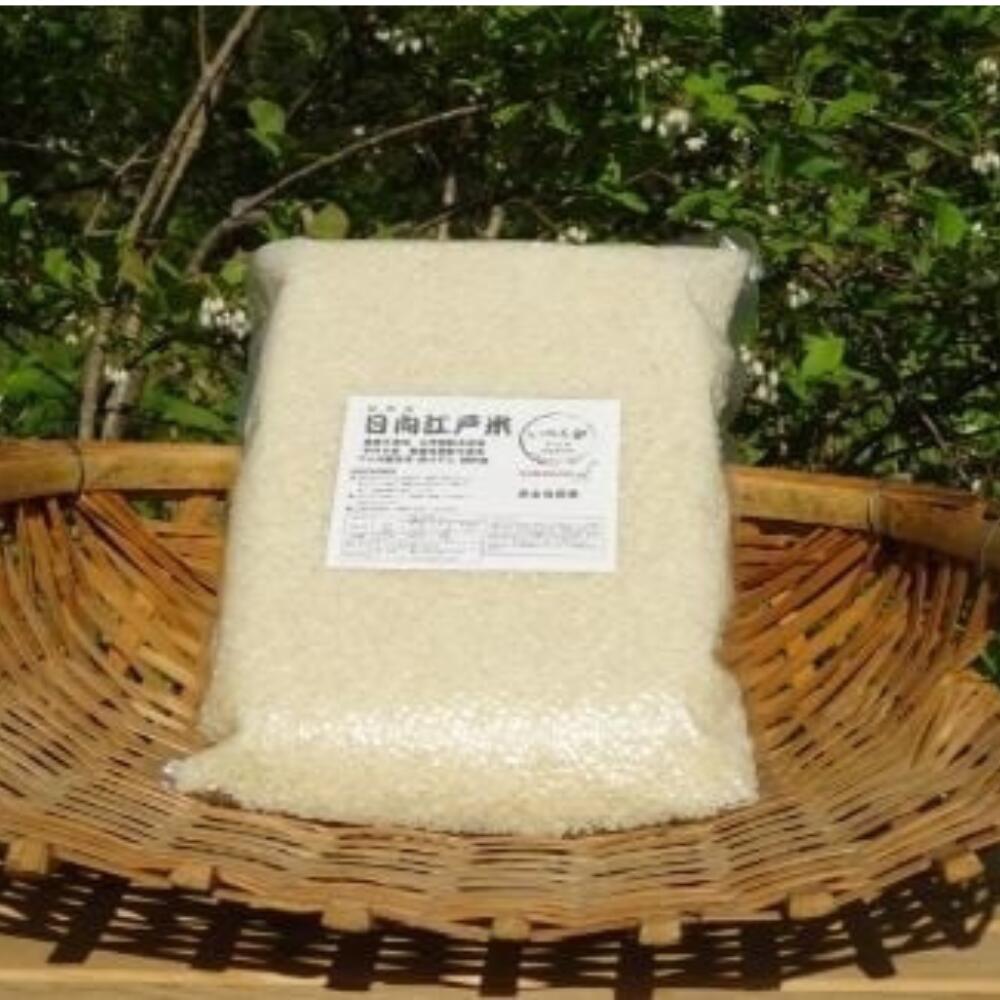【ふるさと納税】〈精米方法が選べる〉 完全自然米 2.7kg 【 白米 ・ 玄米 ・ 分搗き 】 日向江戸米 国産 お米 ライス 農薬不使用 おにぎり おむすび お弁当 ごはん ご飯 おすすめ ギフト 贈り物 贈答 プレゼント 常温 産地直送 宮崎県 綾町 送料無料