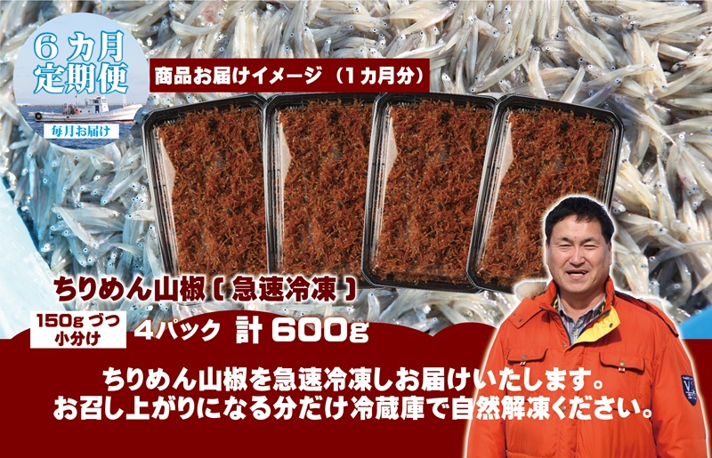 【定期便】泉州しらす （ちりめん山椒）600g×全6回 真面目漁師 濱ちゃんのこだわり 099Z312