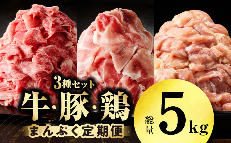 国産 牛肉＆豚肉＆鶏肉 まんぷく 定期便 5kg×2回【氷温熟成×極味付け 3種 食べ比べ 普段使い 味付き 小分け 訳あり サイズ不揃い 毎月配送コース】 mrzZ019