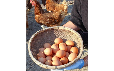 宿毛の贅沢TKG（たまごかけごはん）セット