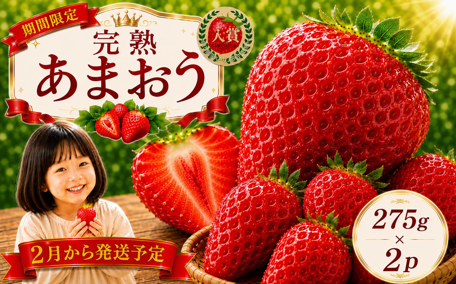 
                  【2027年2月から発送予定】【先行予約! 数量限定】 福岡産 あまおう ichigo strawberry  約275ｇ×2パック セット いちご 苺 イチゴ フルーツ 果物 くだもの 春 旬 福岡 九州 福岡県 川崎町 暖家のいちごあまおう いちご 苺 イチゴ 果物 くだもの フルーツイチゴ 苺 ichigo strawberry    国産
                