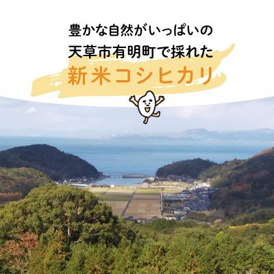 ふるさと納税 天草市 〈令和8年産〉熊本県天草産　天草の大地の恵み　新米コシヒカリ6kg【先行受付】_S108-003A |  | 01