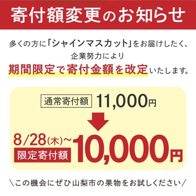 【寄付金額変更 11,000円→10,000円】農福連携 シャインマスカット2房(合計1kg程度)【配送不可地域：離島】