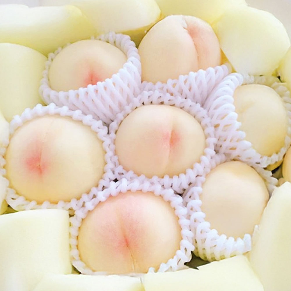 【ふるさと納税】桃 2025年 先行予約 岡山 白桃 キング・エース 約4kg 8～15玉入り もも モモ 岡山県産 国産 フルーツ 果物 ギフト 橋田商店　 岡山の白桃 芳醇な香り 上品な甘み 柔らかい 果汁が多い 【2026年7月上旬～8月下旬 発送予定】