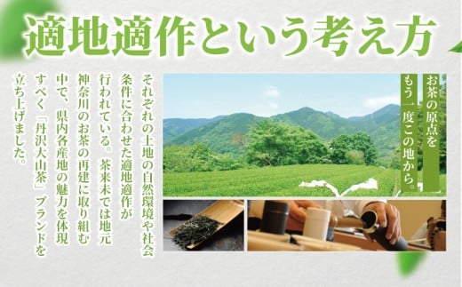 アイス 12個 ほうじ茶アイス 焙じ茶 ほうじ茶 焙茶 アイスクリーム 丹沢大山茶 あいす ice aisu お茶 お茶っ葉 ちゃば ほうじちゃ アイスほうじ茶 スイーツ デザート セット デザート 