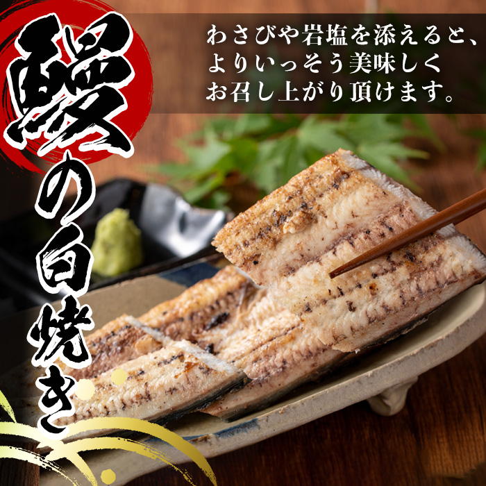 y082 国産！うなぎ白焼き(3尾・タレ付き) 九州産 鰻 ウナギ 無頭 魚 魚介類 しろやき 白焼 かばやき 蒲焼 蒲焼き おかず 特産品 土用 丑の日 お土産 ギフト プレゼント 冷蔵 【尾方屋】