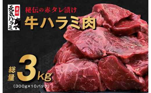 
牛ハラミ肉 3kg（300g×10）秘伝の赤タレ漬け 訳あり サイズ不揃い
