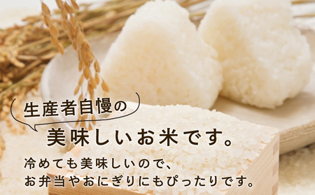 特別栽培米 新米 三間米 コシヒカリ 計10kg 5kg × 2袋 伊勢本農園 特別栽培 米 お米 おこめ ごはん こめ コメ ※ kome 白米 精米 お弁当 ブランド米 ふっくら ツヤツヤ ライス