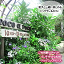 【ふるさと納税】 愛犬と楽しめるドッグランカフェ「ランチ2名様と広さ150坪のドッグランスペース」ご利用チケット 岡山県 倉敷市 Poco a Poco ポコアポコ　【 ドッグカフェ お出かけ 犬連れ 食事 ご飯 自然豊か 岡山の食材 特製和スイーツ 犬同伴OK 愛犬と一緒 犬と一緒 】