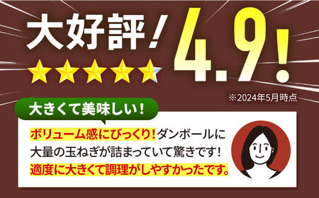 白石産たまねぎ 10kg / たまねぎ 玉ねぎ [IAK011]