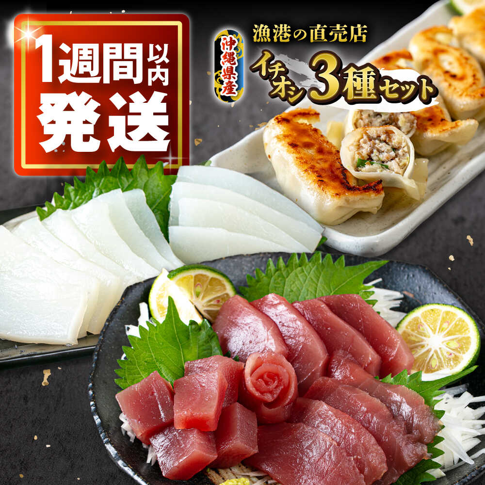 【ふるさと納税】パヤオセット (冷凍キハダマグロ1kg / セーイカ0.6kg / マグロギョーザ24個) 沖縄市 / 沖縄市漁業協同組合 パヤオ直売店[BCDZ004]