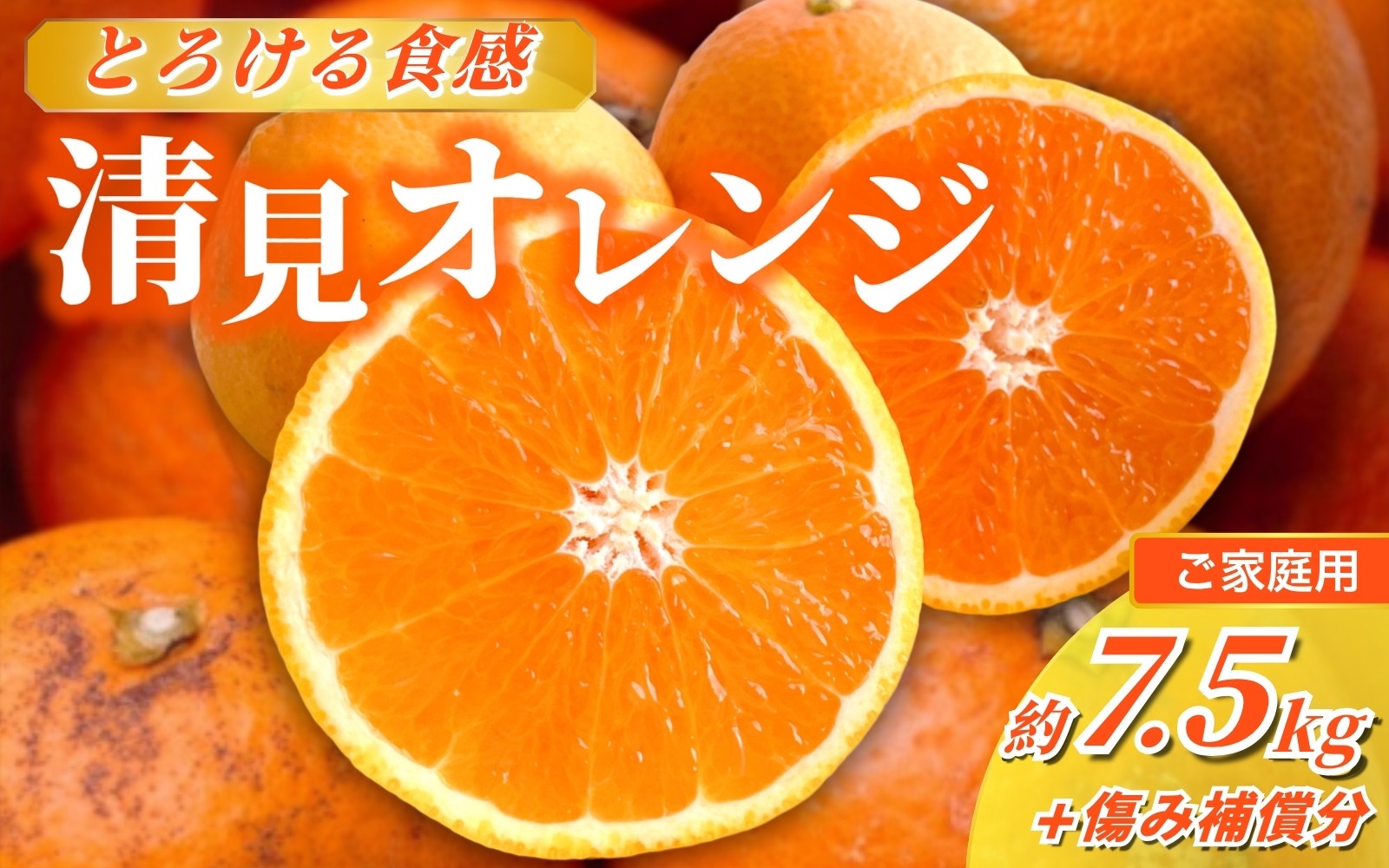 
            ＜2月より発送＞＜2月より発送＞家庭用 清見オレンジ 7.5kg+250g（傷み補償分）【光センサー食頃出荷】【樹上完熟きよみオレンジ・清見タンゴール・清美】【わけあり・訳あり】 / オレンジ 清見 おれんじ みかん 柑橘 有田 和歌山 産地直送  くだもの 果物 フルーツ 柑橘類 和歌山 すさみ町【ikd200B】
          
