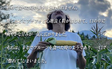 生で食べられる とうもろこし 5本 株式会社みみずや 本州限定 2024年7月下旬頃から2024年9月上旬頃まで順次発送予定 令和6年度収穫分 信州 野菜 甘い トウモロコシ コーン とうきび 産地直