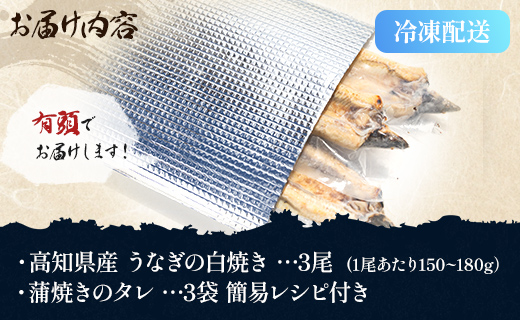 【7日程度で発送】うなぎ白焼き 高知県産うなぎの白焼き 150～180ｇ×3尾 - エコ包装 国産 うなぎ 白焼き 鰻 冷凍 高知 yw-0115