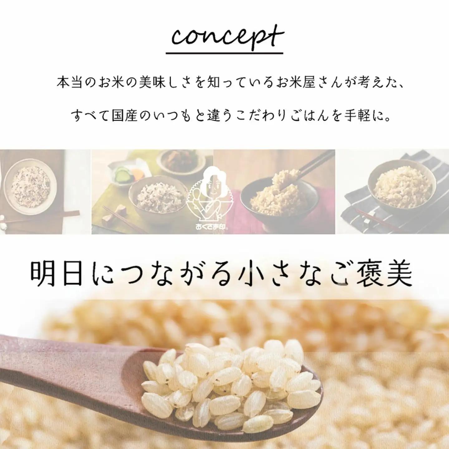 【パックご飯】 玄米 国産こしひかり 無添加一分づき 120g 計36個 パックご飯