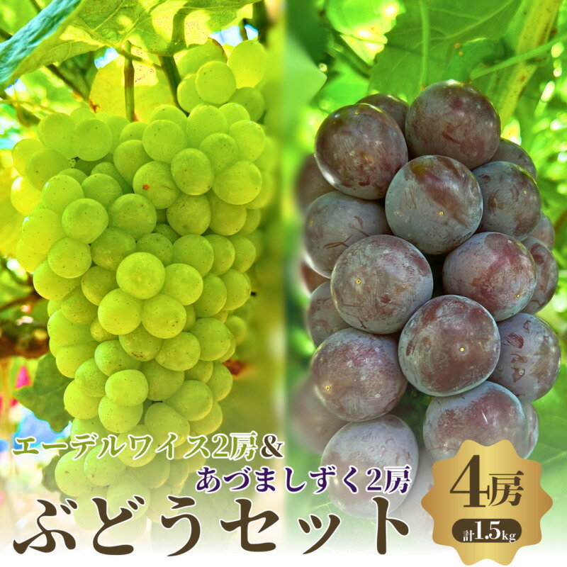 【ふるさと納税】【先行予約】【数量限定】夏一番 ぶどうセット あづましずく エーデルワイス 4房 (各2房) セット 詰め合わせ 葡萄 ぶどう 食べ比べ フルーツ 果物 くだもの旬のフルーツ 旬の果物 大阪 大阪府 岸和田市　お届け：2026年8月上旬～9月上旬まで