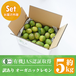 ＜先行予約受付中！2025年9月以降発送予定＞数量限定！有機JAS 訳ありオーガニックレモン(約5kg) 国産 訳あり レモン 檸檬 果実 果物 フルーツ 柑橘 デザート 期間限定 有機栽培 健康志向