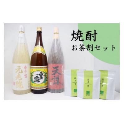 ふるさと納税 錦江町 白玉醸造「元老院・白玉の露・天誅(1升瓶)」焼酎3本 お茶割りセット(No.2090-2)