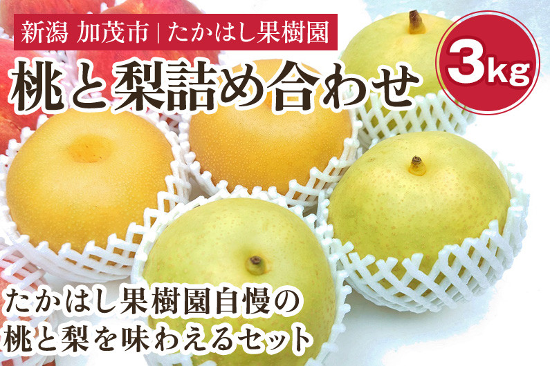 
            【2025年先行予約】たかはし果樹園 謹製 桃と和梨の内容おまかせ詰め合わせセット 約3kg《8月中旬から発送》 新潟県産 なし ナシ もも モモ 果物 フルーツギフト 秋の味覚 産地直送 加茂市 たかはし果樹園
          