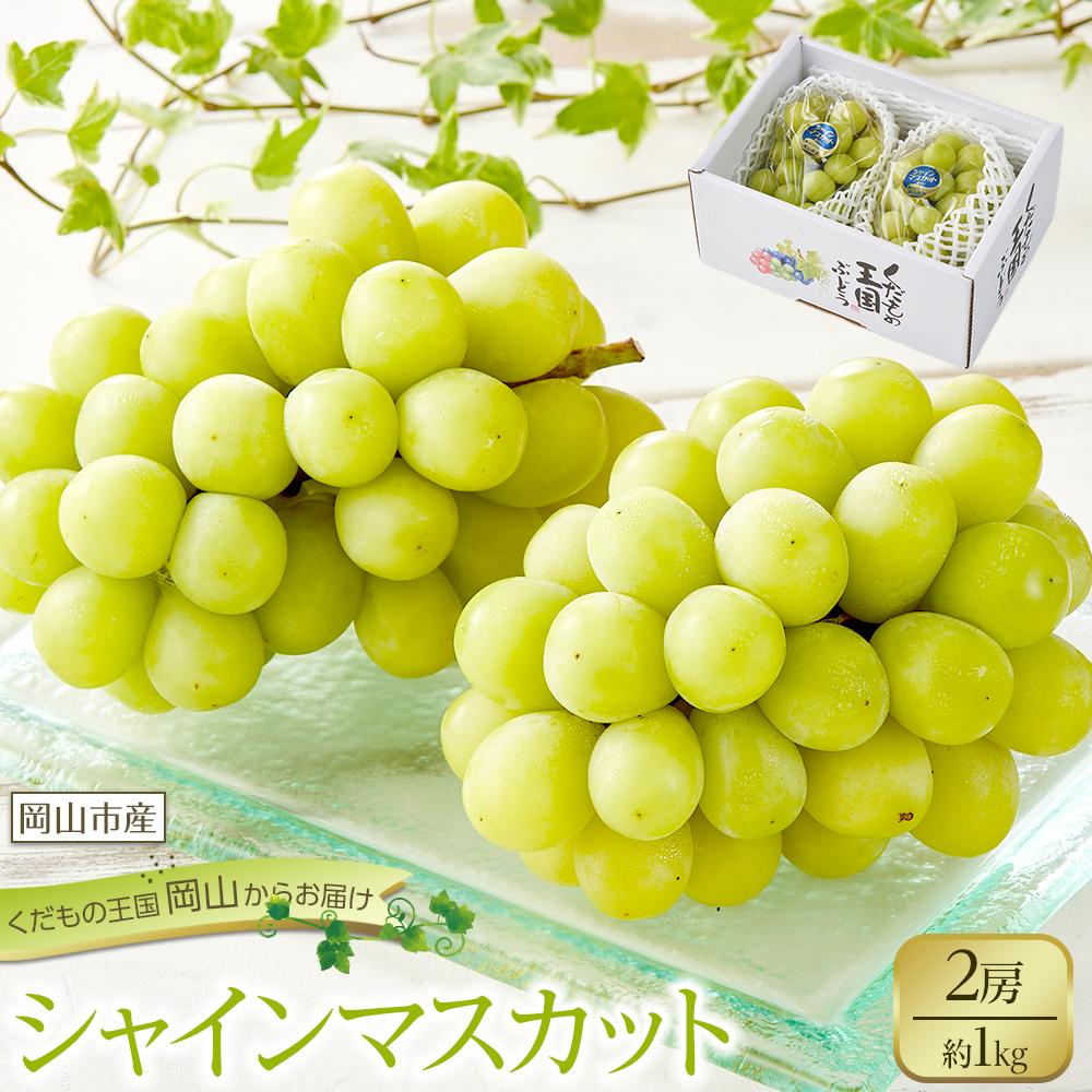 【ふるさと納税】ぶどう 2026年 シャイン マスカット 2房 合計約1kg 種無し ブドウ 葡萄 岡山市産 国産 フルーツ 果物 渡邊農園 | フルーツ 果物 くだもの 食品 人気 おすすめ 送料無料