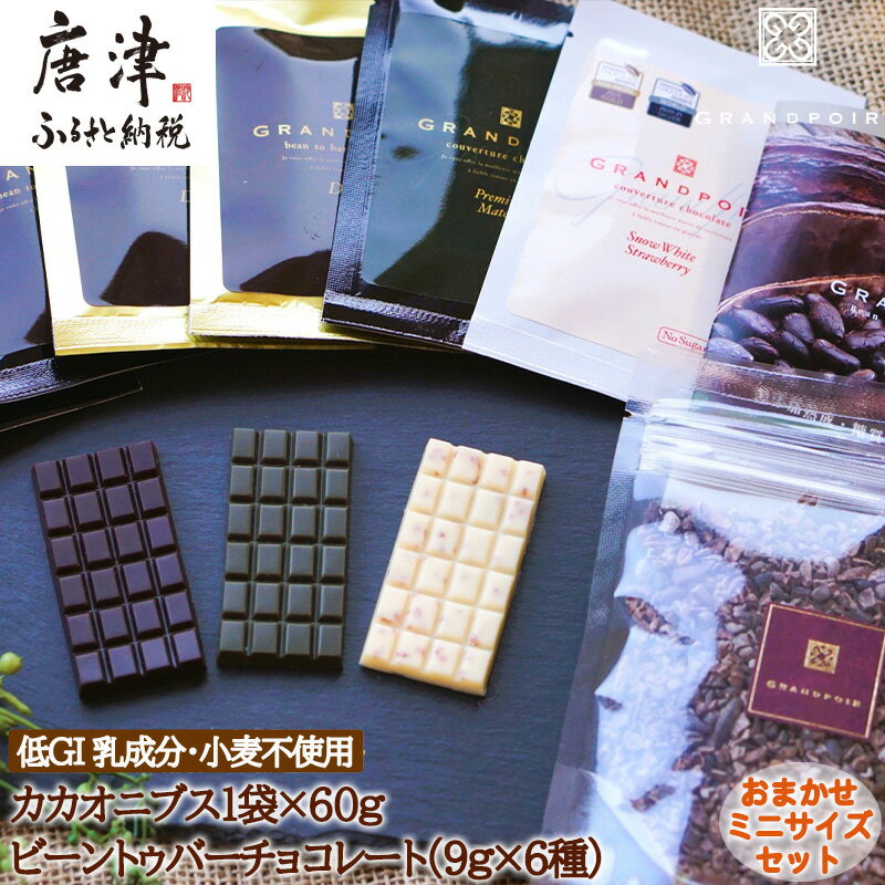 【ふるさと納税】グランポワール 低GI 無添加 ビーントゥバーチョコレートミニサイズセット9g×6種・カカオニブス1袋×60g (合計114g) 乳/小麦/白砂糖不使用 糖質カット ヴィーガン対応 スイーツ ギフト「2025年 令和7年」