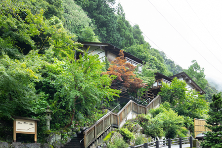 1180801 中津渓谷 ゆの森 コテージ素泊まり宿泊プラン