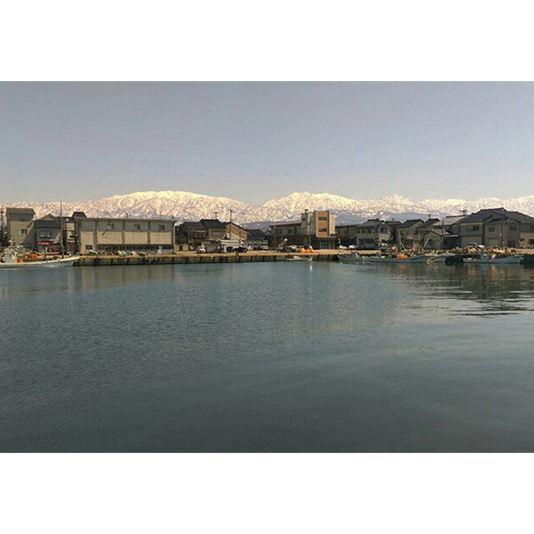 【12か月定期便】伝承の紅鮭 10切  ※北海道・沖縄・離島への配送不可_イメージ4