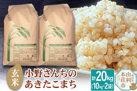 【玄米】小野さんちのあきたこまち(10kg×2袋) 計20kg 令和7年産