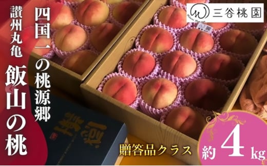 贈答用 飯山の桃 4kg（10玉～13玉） 桃 モモ 果物 フルーツ ピーチ ゼリー アイス ジェラート ケーキ ジュース ジャム タルト デザート スイーツ おやつ 人気 おすすめ お取り寄せ グルメ ギフト プレゼント 送料無料 香川県 丸亀市 三谷桃園
