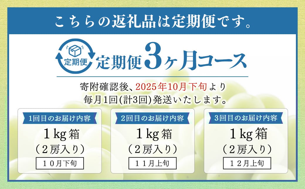 【定期便3回】 ［種なし］ 岡山県産 シャインマスカット 1kg箱（2房入り） 【2025年10月下旬発送開始】 ／ ぶどう ブドウ 葡萄 大粒 種なし 種無し フルーツ 果物 くだもの 果実