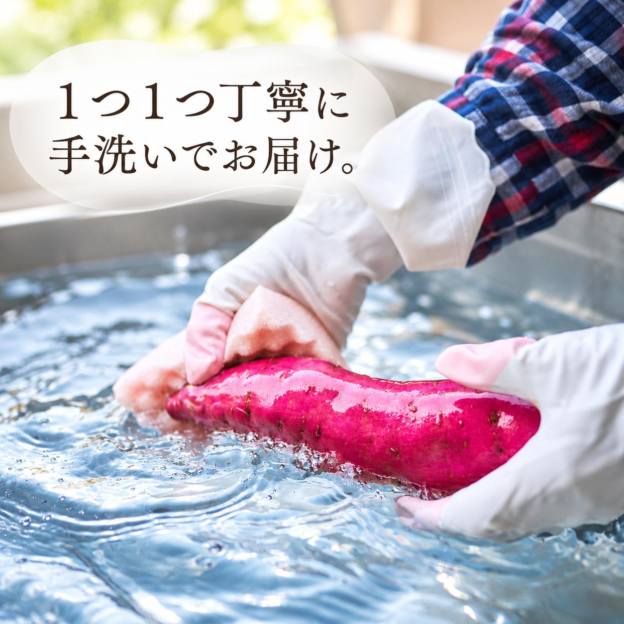 【 冬季 限定 】 【 先行予約 】 【 訳あり 】 高知県産 土付き 熟成紅はるか 極蜜芋 5kg ｜ 紅はるか さつまいも 生芋 熟成芋 高知 焼き芋 やきいも おやつ 農家直送 産地直送 WAD