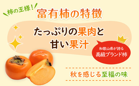 和歌山県産 富有柿 秀品 8～12玉 L～3Lサイズ【2024年11月上旬以降発送】【九度山町産】