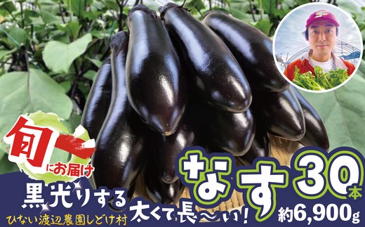 ナス 黒光りする太くて長い！30本　【120P3206】