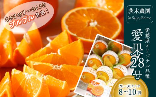 愛果28号 あいか （紅まどんなと同品種） 大箱（8～10個） 愛媛県西条市 茨木農園  【先行予約・12月中旬～12月下旬頃発送】｜ 樹上完熟 愛果28 愛媛 みかん あいか あいか28号  紅マドンナ 紅まどんな と同品種 光センサー 高級 柑橘 果物 贈答 くだもの フルーツ 数量限定 農家直送 産地直送