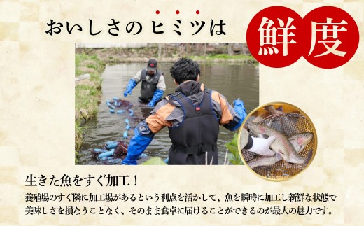 にじます親子セット