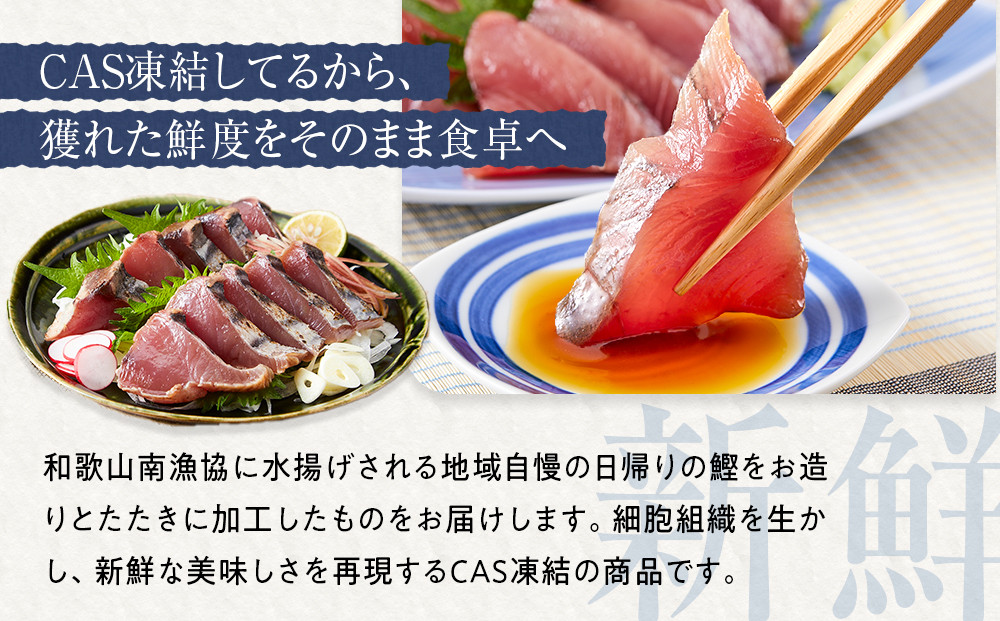 白浜日帰り鰹刺身 約200g たたき 約200g 満足セット